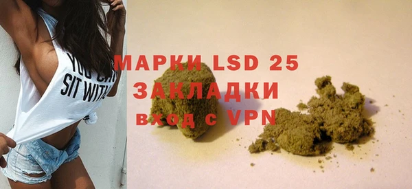 spice Аркадак