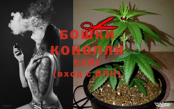 шишки Балабаново