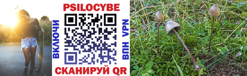Псилоцибиновые грибы MAGIC MUSHROOMS  купить   Феодосия 